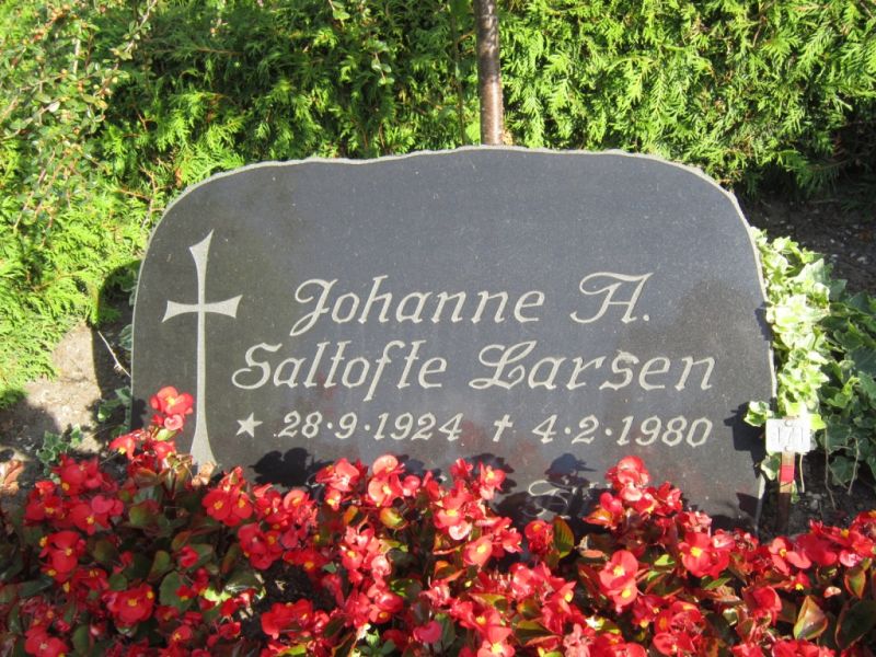 Johanne A. Saltofte Larsen  .JPG